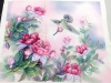 Sue Lacy Hummingbird flowers
